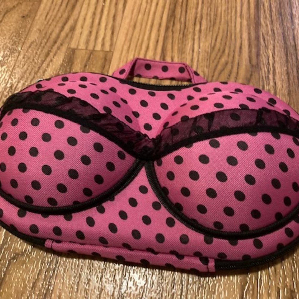 Travel Bra Organizer